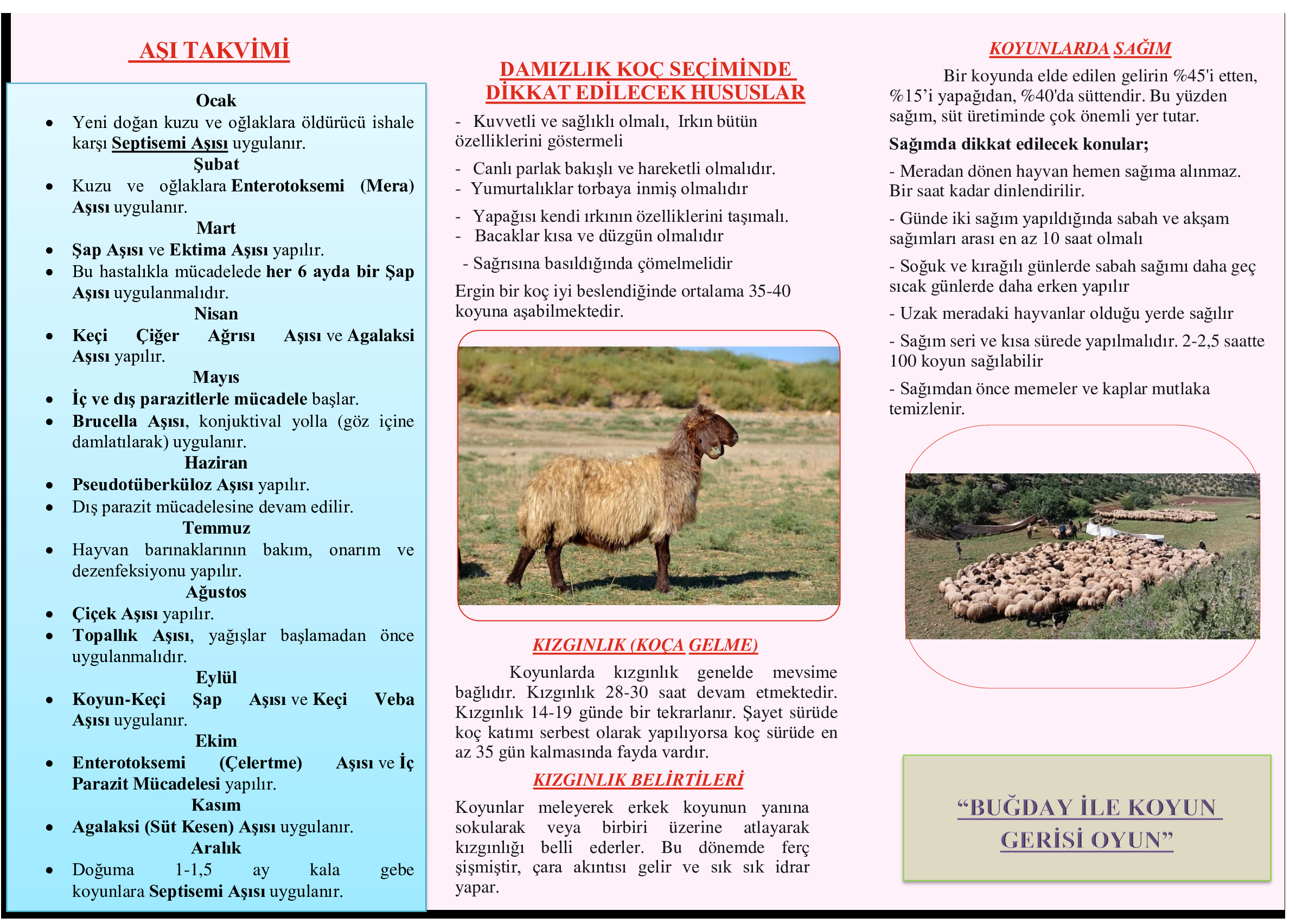 Birlik broşürü sayfa 1